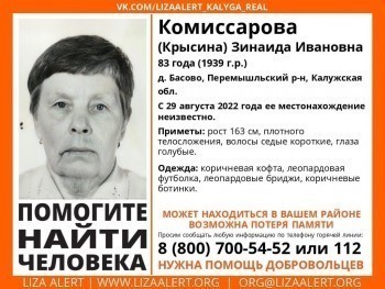 В Калужской области разыскивают 83-летнюю женщину