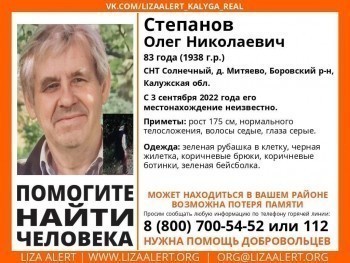 В Калужской области разыскивают 83-летнего мужчину