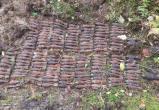 В калужском лесу нашли схрон мин