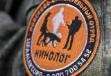 Фото: Поисково-спасательный отряд "ЛизаАлерт" (ВКонтакте)