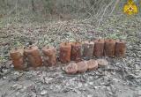 В калужских лесах нашли противопехотные мины и артиллерийский снаряд