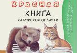 Фото: Министерство природных ресурсов и экологии Калужской области