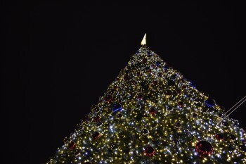 Открытие главной новогодней ёлки в Калуге перенесли