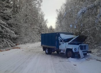 На калужской дороге грузовик влетел в нависшее над дорогой дерево