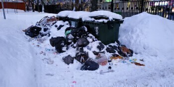 В Калуге замёрзли мусорные контейнеры