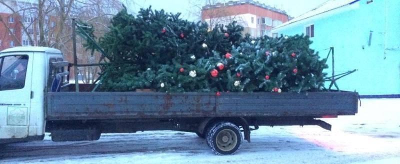 Фото: Городское хозяйство Калуги (ВКонтакте)