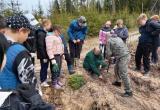 Фото: пресс-служба Правительства Калужской области