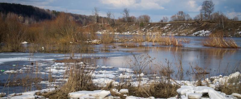 Фото: Kaluga-poisk.ru