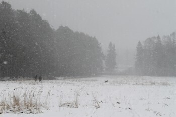 18 и 19 февраля в Калужской области будет метель, снежные заносы и гололедица