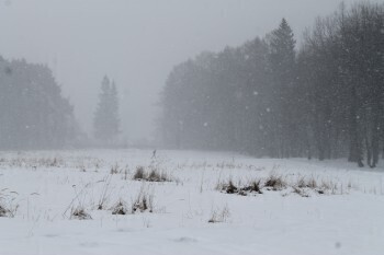 9 марта до конца дня в Калуге будет снегопад и гололедица