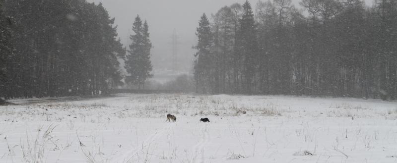 Фото: Kaluga-poisk.ru