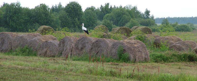 Фото: Kaluga-poisk.ru