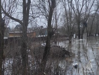 Река Протва затопила дачи в Обнинске