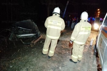 Водитель автомобиля "Лексус" погиб на месте после столкновения с деревом