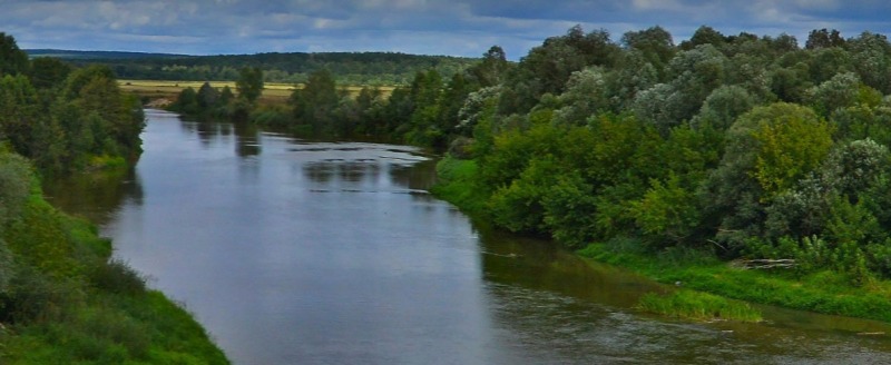 Река Жиздра. Фото: 
