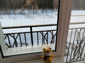 В Обнинске 4-летний ребёнок выпал с 8 этажа