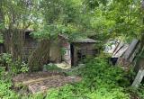 Фото: Городская Управа Калуги