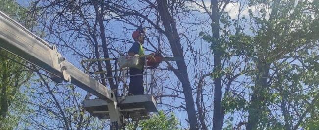 Фото: Управление городского хозяйтвв