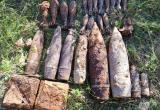 В лесу в Калужской области нашли схрон из 30 боеприпасов 
