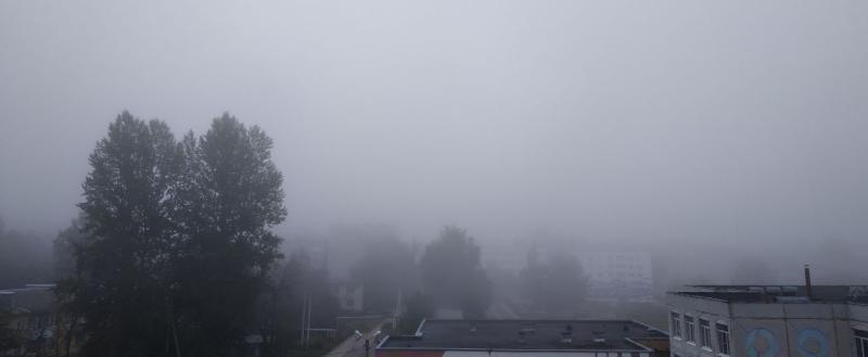 Фото: Kaluga-poisk.ru Фото: Kaluga-poisk.ru