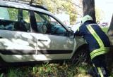 87-летний водитель "Лады" врезался в "Мерседес" и дерево