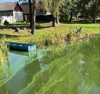 В Минприроды Калужской области никак не могут разгадать тайну загрязненных водохранилищ 