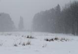 Фото: Kaluga-poisk.ru Фото: Kaluga-poisk.ru