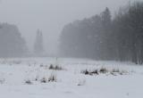 Фото: Kaluga-poisk.ru Фото: Kaluga-poisk.ru