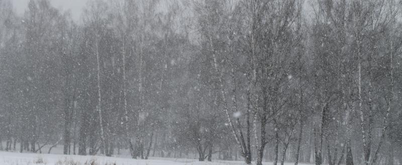 Фото: Kaluga-poisk.ru