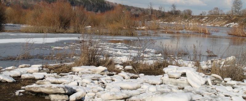 Фото: Kaluga-poisk.ru