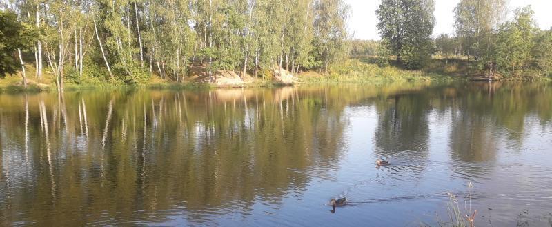 Фото Kaluga-Poisk.ru, Бушмановский пруд.