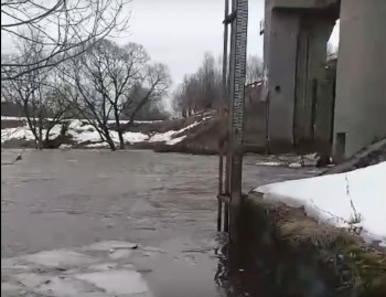 Уровень воды в Протве в Калужской области за сутки повысился на 1,5 метра