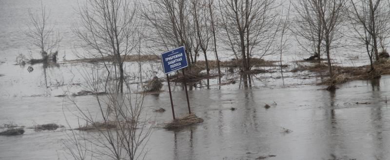 Фото: Kaluga-poisk.ru