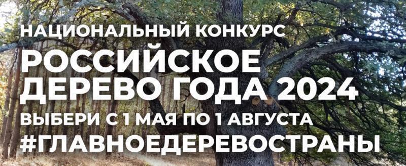 Фото: Пресс-служба Губернатора и Правительства Калужской области, https://admoblkaluga.ru/news/item-20167/