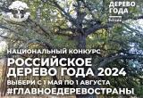 Фото: Пресс-служба Губернатора и Правительства Калужской области, https://admoblkaluga.ru/news/item-20167/