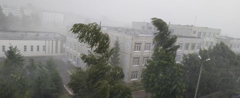 Фото: Kaluga-poisk.ru
