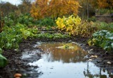 Огромная лужа рядом с моим участком превратилась в достопримечательность из-за бездействия председателя