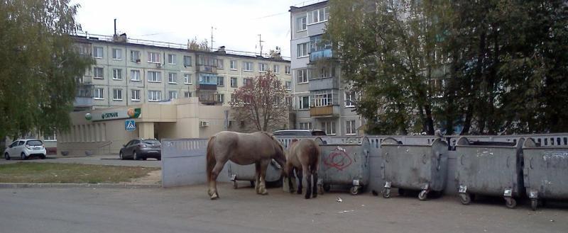https://www.kaluga-poisk.ru/ Kaluga-Poisk.ru