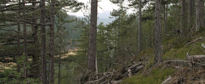 https://www.kaluga-poisk.ru/ Kaluga-Poisk.ru
