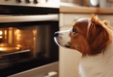 Пёс спас ужин и мою репутацию хозяйки. Он так хотел курицу, что притащил меня к духовке в нужный момент