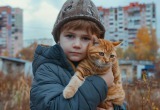 Сын приносит домой кошек со двора и уверяет, что они бездомные. А я потом отбиваюсь от злющих хозяев