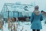 Муж понадеялся на прочность дорогой пленки для теплиц и не стал снимать ее на зиму. Результат удручающий