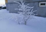 Фото: Kaluga-poisk.ru