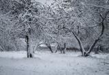 Фото: Kaluga-poisk.ru