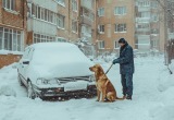 Наш пёс превратил чистку машины от снега в увлекательную игру. Но мужу было совсем не до веселья