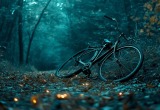 Приятель бросил меня в ночном лесу, когда я упал с велосипеда и сильно ударился головой
