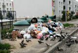 kaluga-poisk.ru
