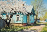 Свекровь продала нам дачу, но продолжает ей пользоваться, как своей