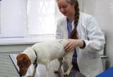 Комитет ветеринарии при Правительстве Калужской области