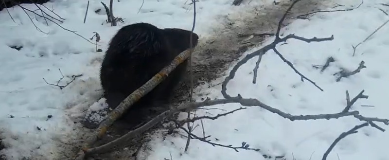 Заповедник